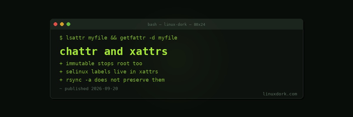 chattr and Extended Attributes: File Properties Beyond Permissions