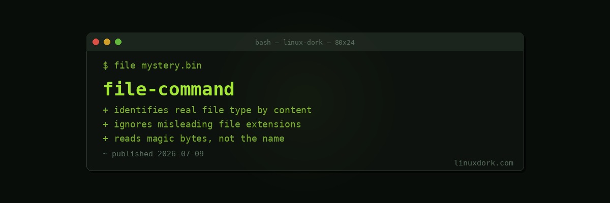file Command Explained