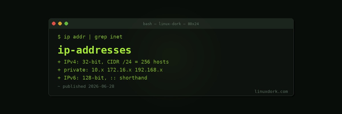 IP Addresses Explained