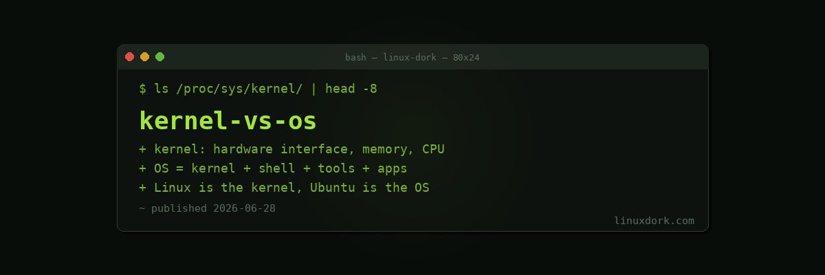 Linux Kernel vs Operating System: What's the Difference?