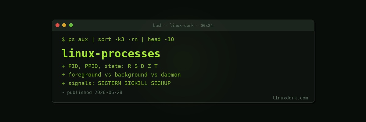 Understanding Linux Processes