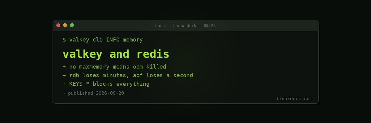 Valkey and Redis Basics: Caching, Persistence and Not Losing Data