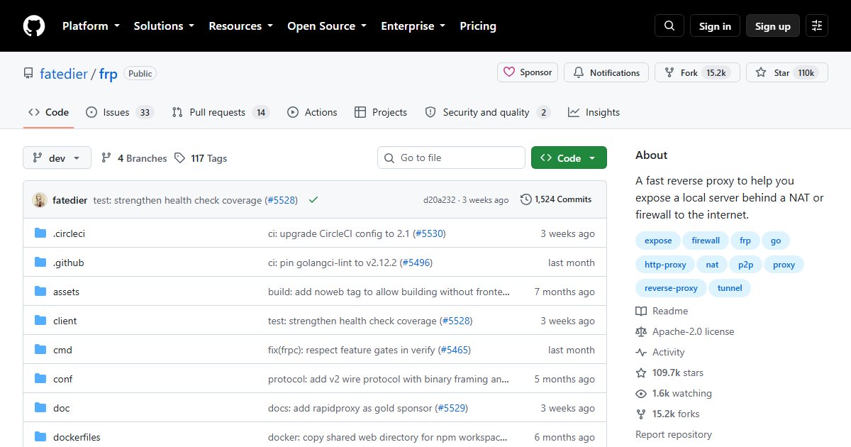 frp: Expose Services Behind NAT With a Fast Reverse Proxy Tunnel